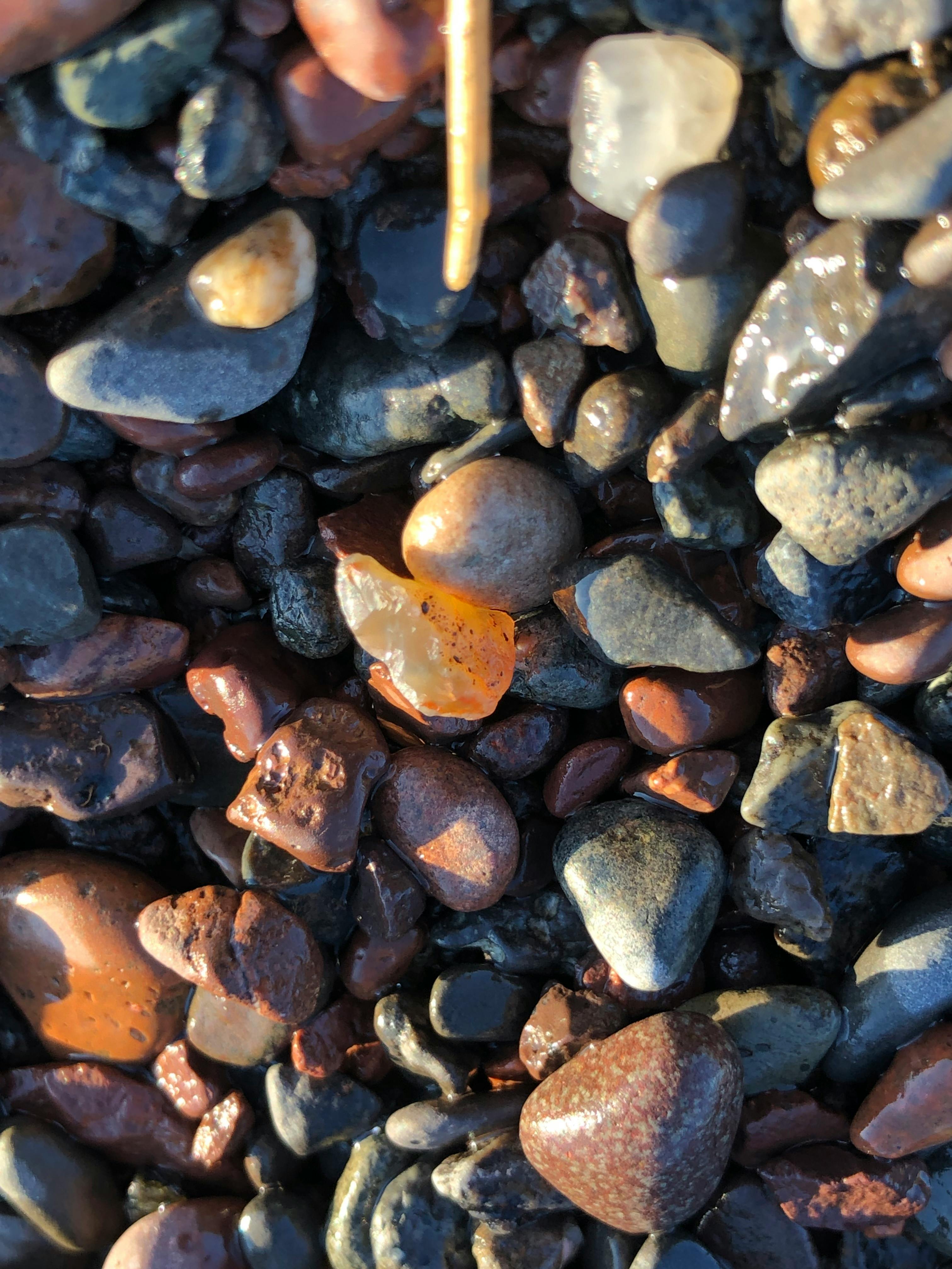 Free stock photo of Agates, lake rocks, sunset rocks