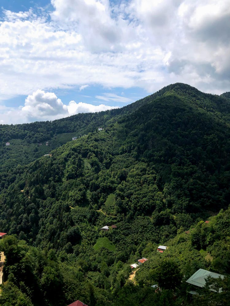 Clouds Over Hill And Forest