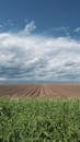 Brown Field Under White Clouds and Blue Sky