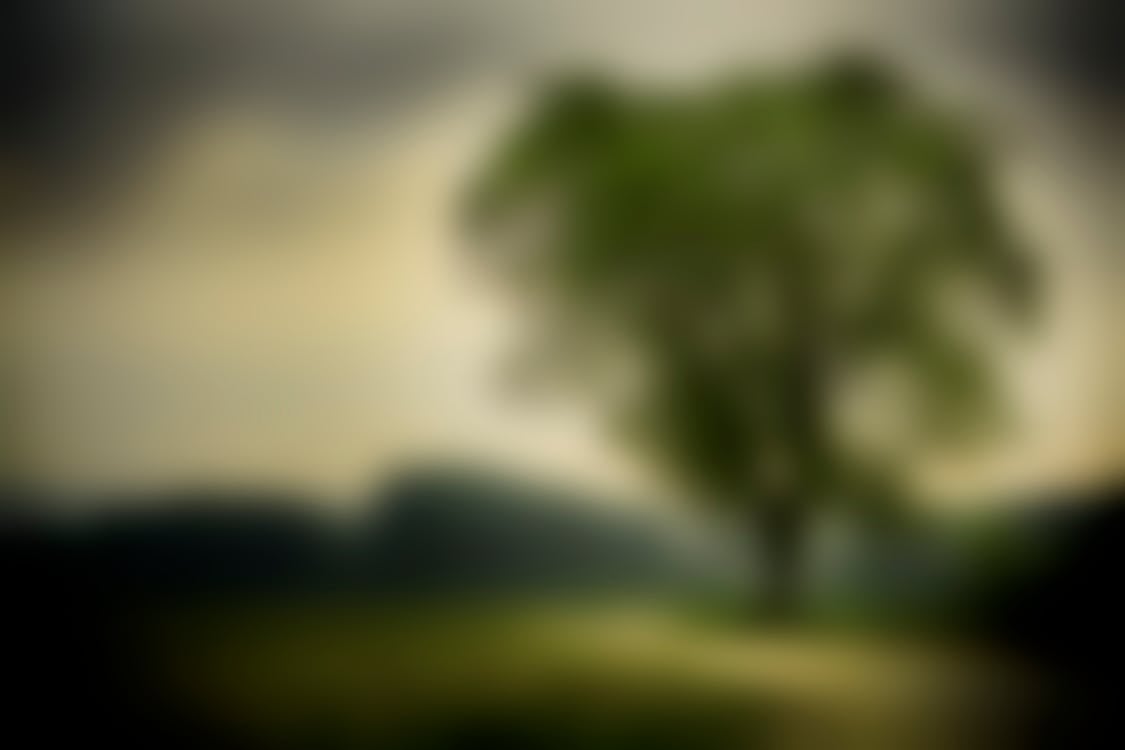 Free stock photo of background, blur, blurred Stock Photo