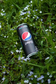 Pepsi Max Can on Green Grass