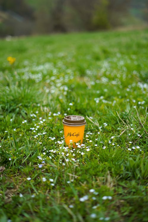 Free Yellow and Black Can on Green Grass Stock Photo