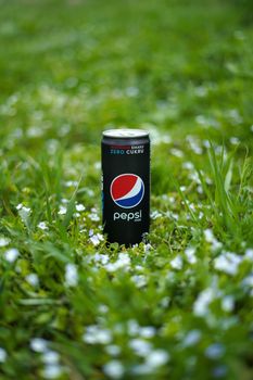 Pepsi Can on Green Grass