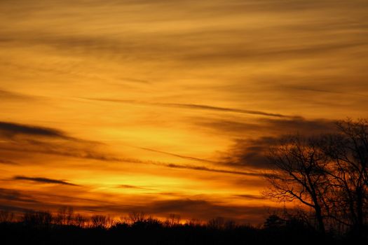 Stunning golden sunset with dramatic sky and leafless tree silhouettes.