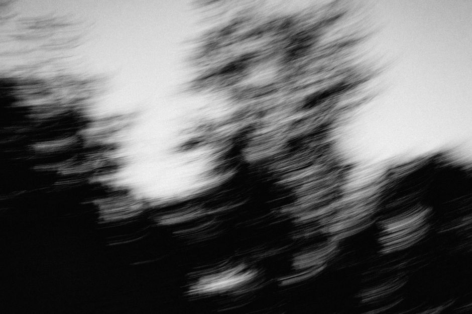 Dynamic abstract silhouette of blurred trees in black and white for artistic expression.