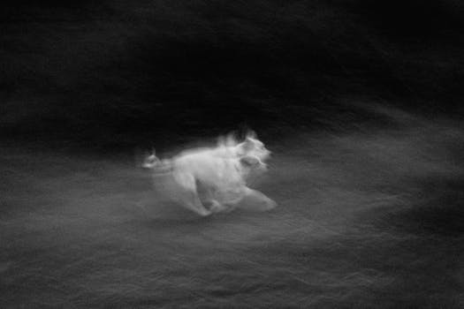 Dynamic abstract image of a running dog in black and white with blurred motion effect.