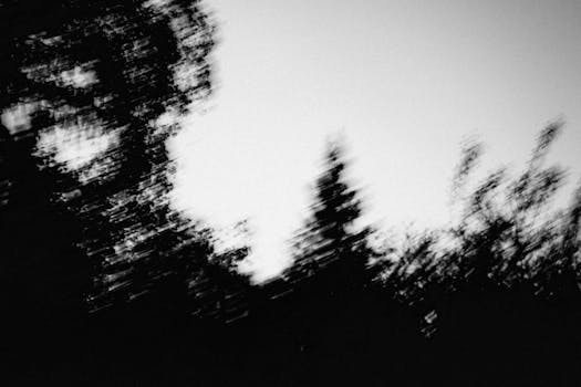 An abstract black and white image featuring blurred silhouettes of trees against a sky backdrop.