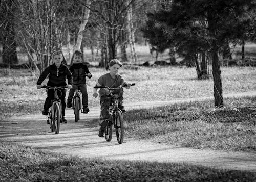 Fotos de stock gratuitas de bici, bicicleta, blanco y negro