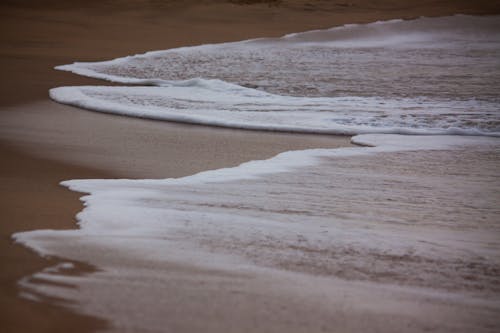 スリランカ, タンガル, ビーチの無料の写真素材