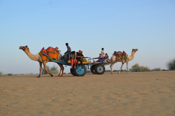 Visitors on a camel cart ride across the Jaisalmer sand dunes