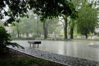 A serene city park during a gentle rain shower, perfect for tranquil reflections.