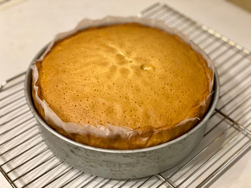 Free Delicious homemade sponge cake fresh from the oven cooling on a wire rack. Stock Photo