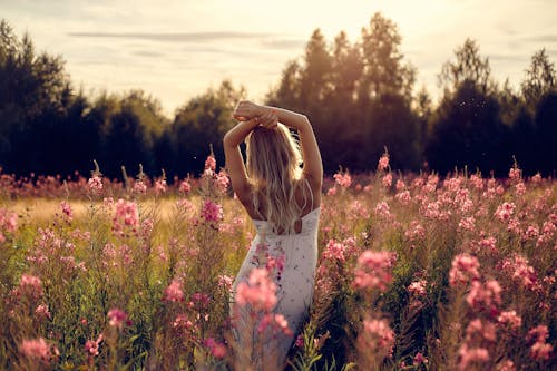 Woman Standing on a Field Full of Pink Flowers and Raising Her Arms