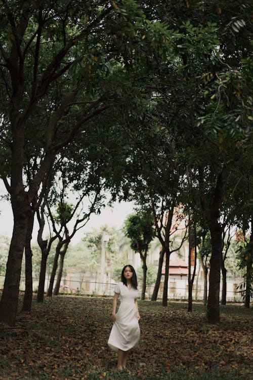 A Woman in Beautiful White Dress Standing in a Forest Park Near Green Trees