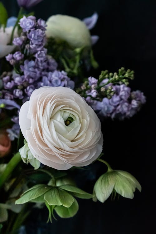 Foto profissional grátis de arranjo de flores, beleza, buquê