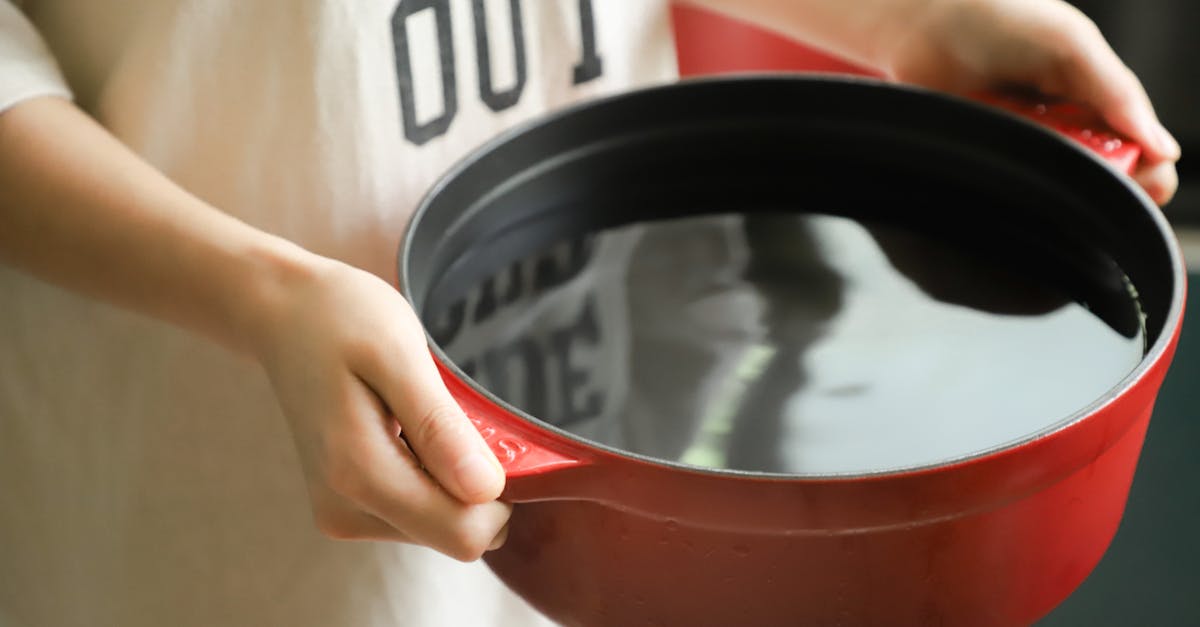 How to Cook Short Grain Brown Rice Like a Pro 3 Person Holding Red Pot Filled with Water · Free Stock Photo