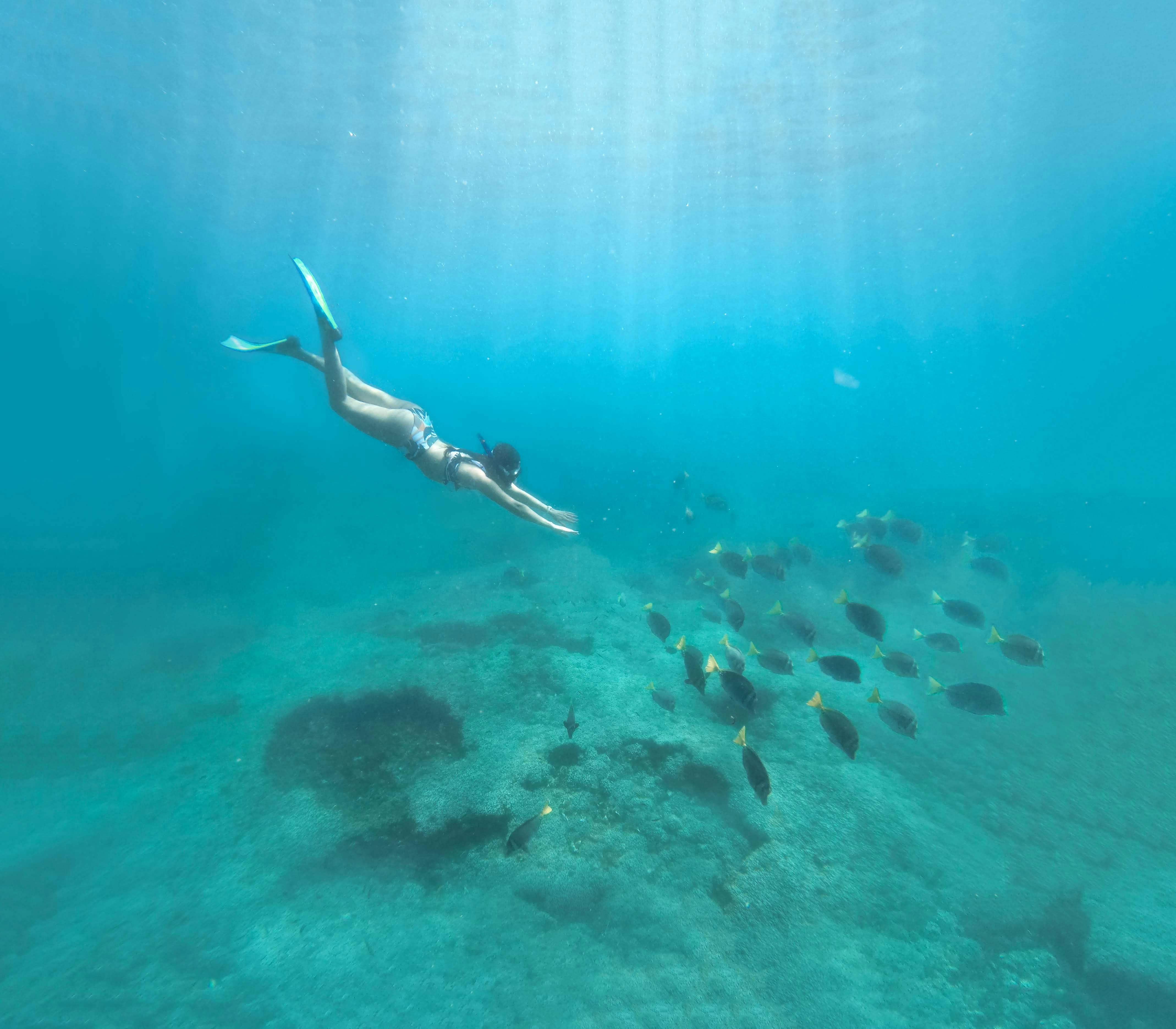 Underwater Photo of a Boy Snorkeling in Blue Water · Free Stock Photo