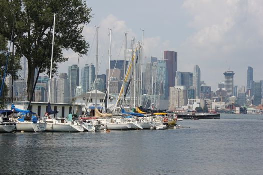 Sailboats docked along a scenic city waterfront with a modern skyline in the background.