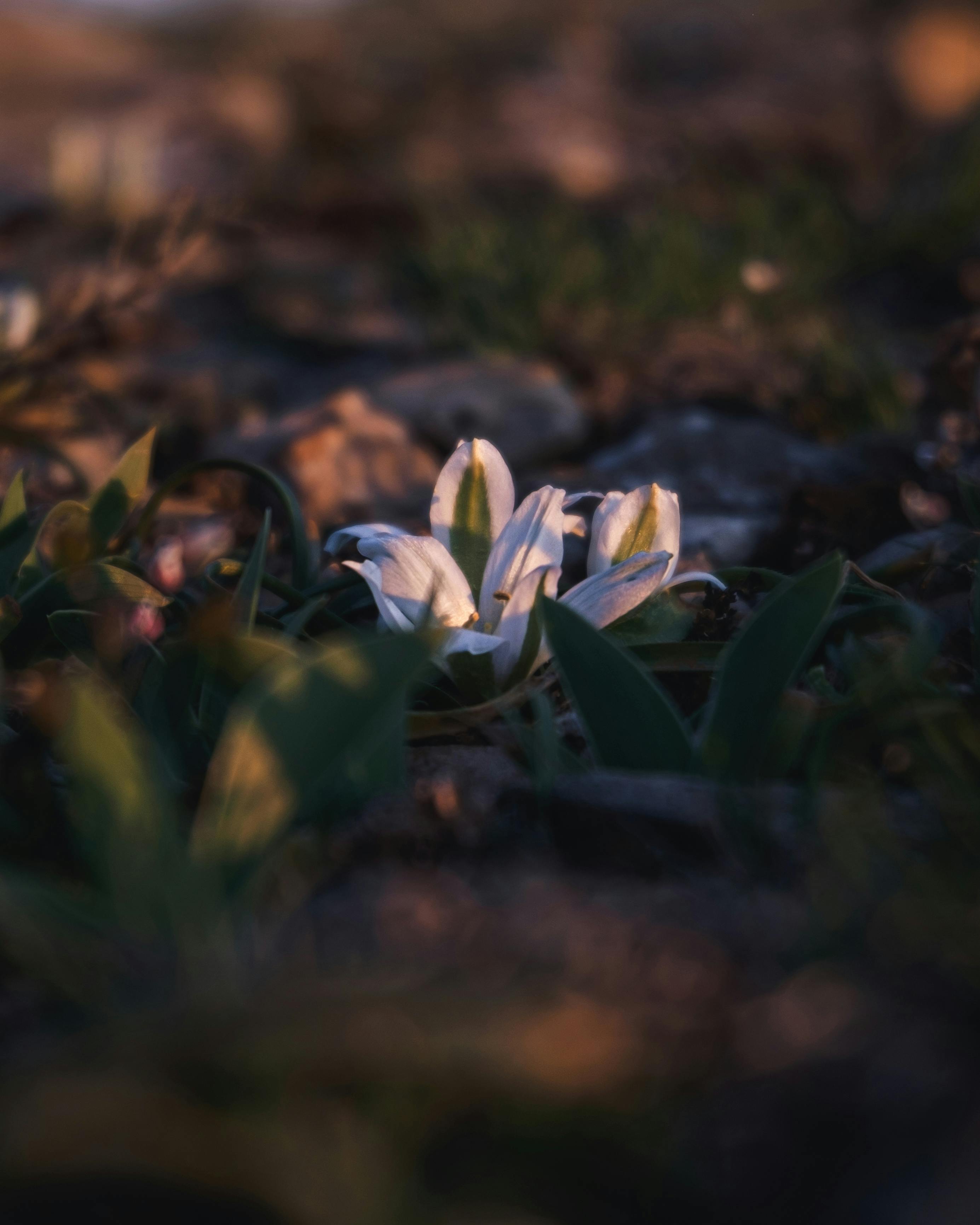 Can You Brown Ground Beef In A Stock Pot CookwareGuy
