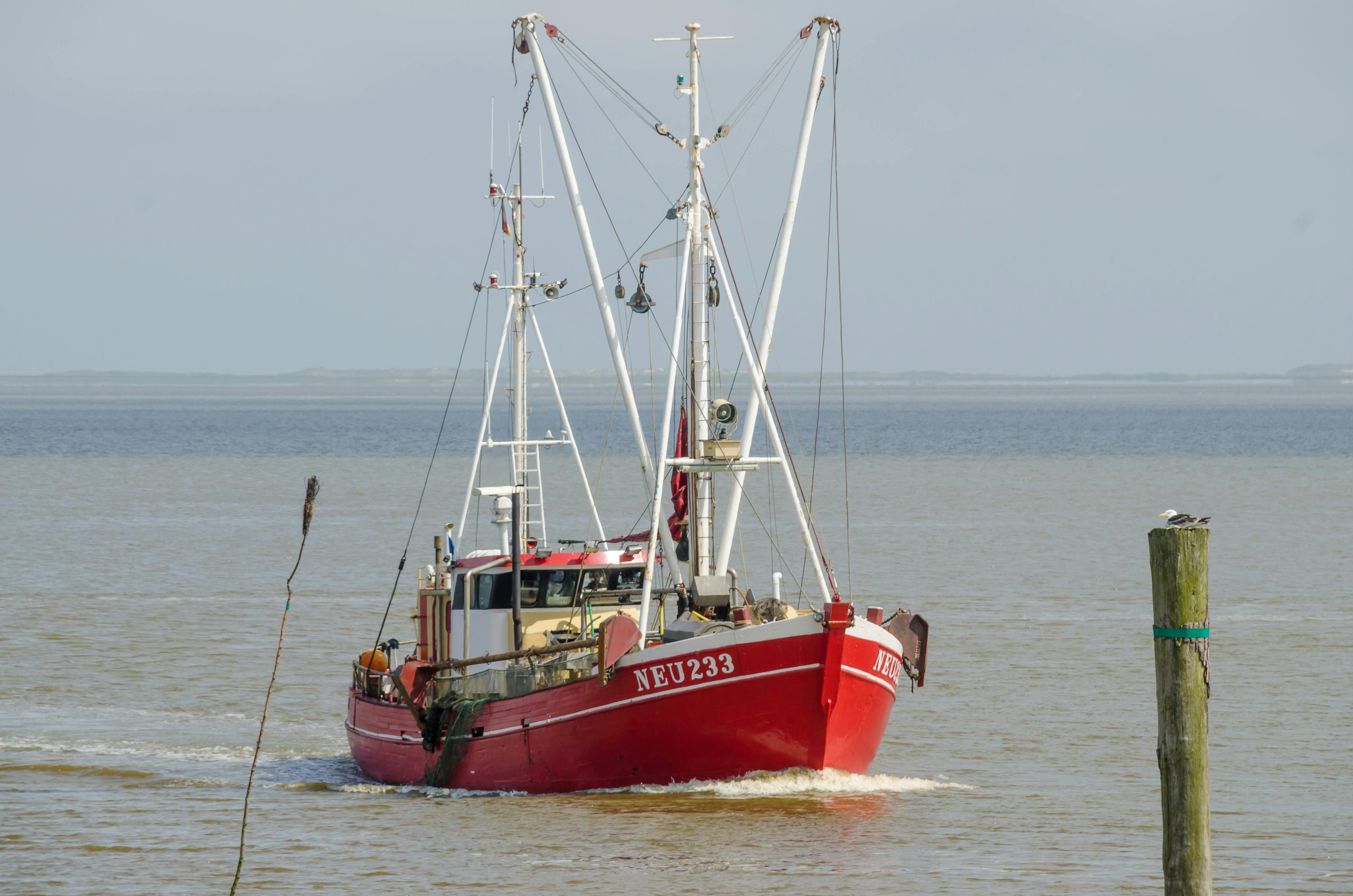 Free stock photo of fishing vessel, sea, ship