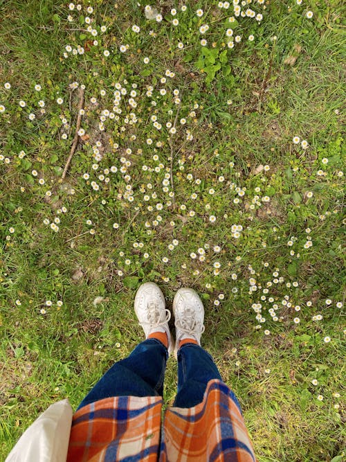 A Person in White Sneakers and Denim Pants Standing on Grass Field with White Wildflowers