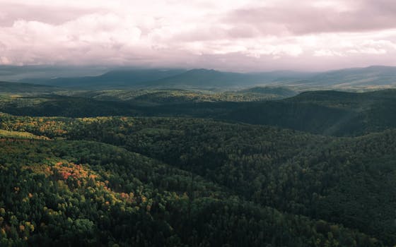 Scenic aerial view of vast green hills and lush forests under dramatic clouds in Chelyabinsk, Russia.