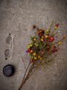 Uncommon Fruit Tree