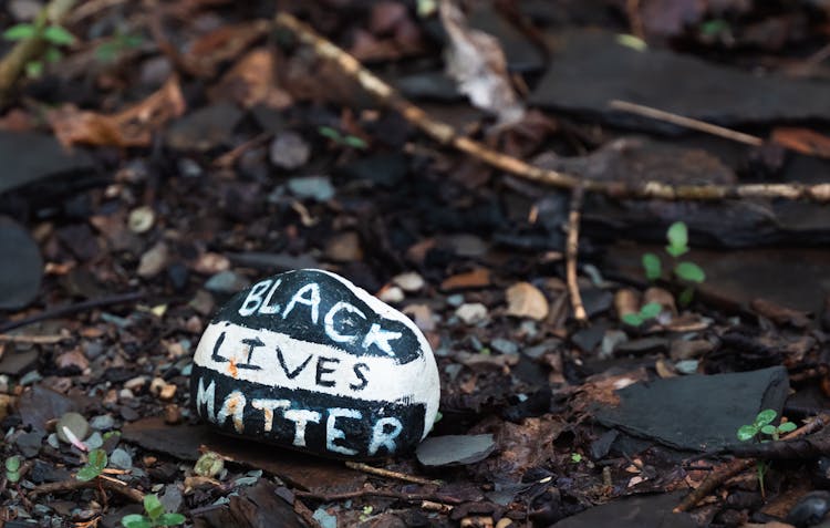 Rock With Painted BLM Symbol