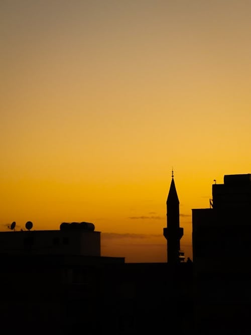 Silhouette of Buildings during Sunset