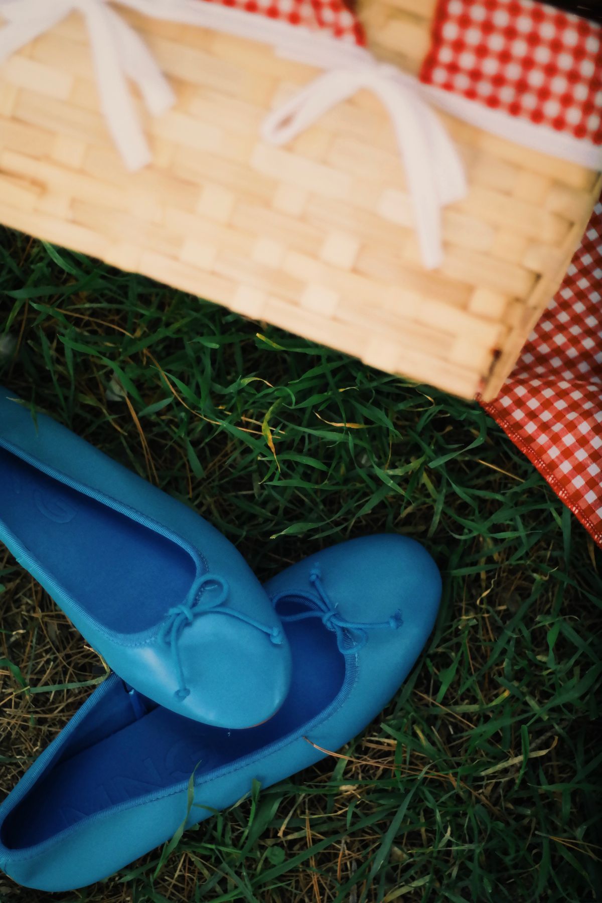 Blue ballet flats with bows styled in a summer picnic scene