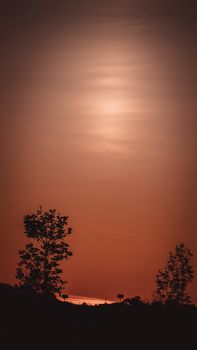Captivating silhouette of trees against a warm sunset sky in O Seixo, Galicia, Spain.