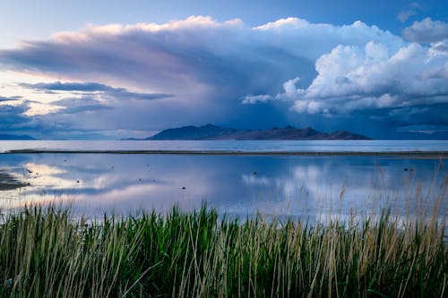 Green Grass And Body Of Water Under Blue Sky