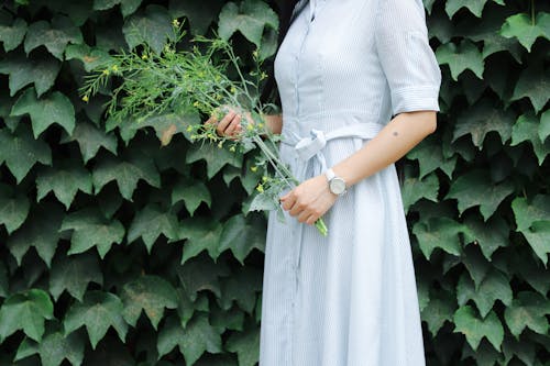Woman Holding Flowers Near Green Leafed Plants