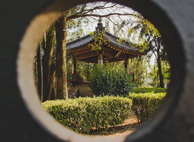 Garden In Temple