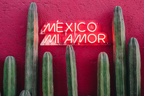 墨西哥，Mi Amor