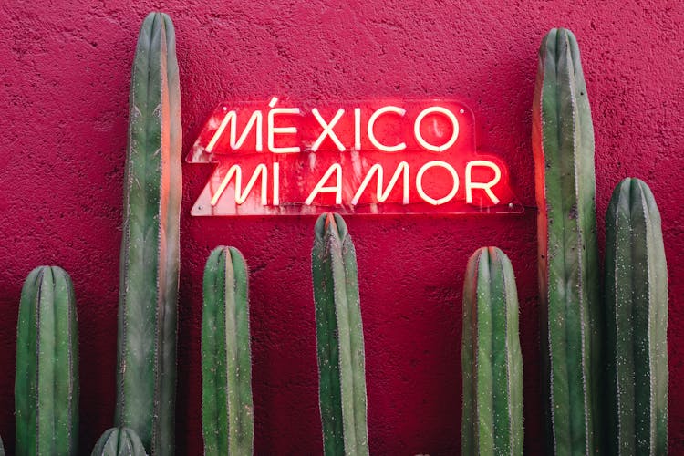 Mexico Mi Amor Writing On Wall