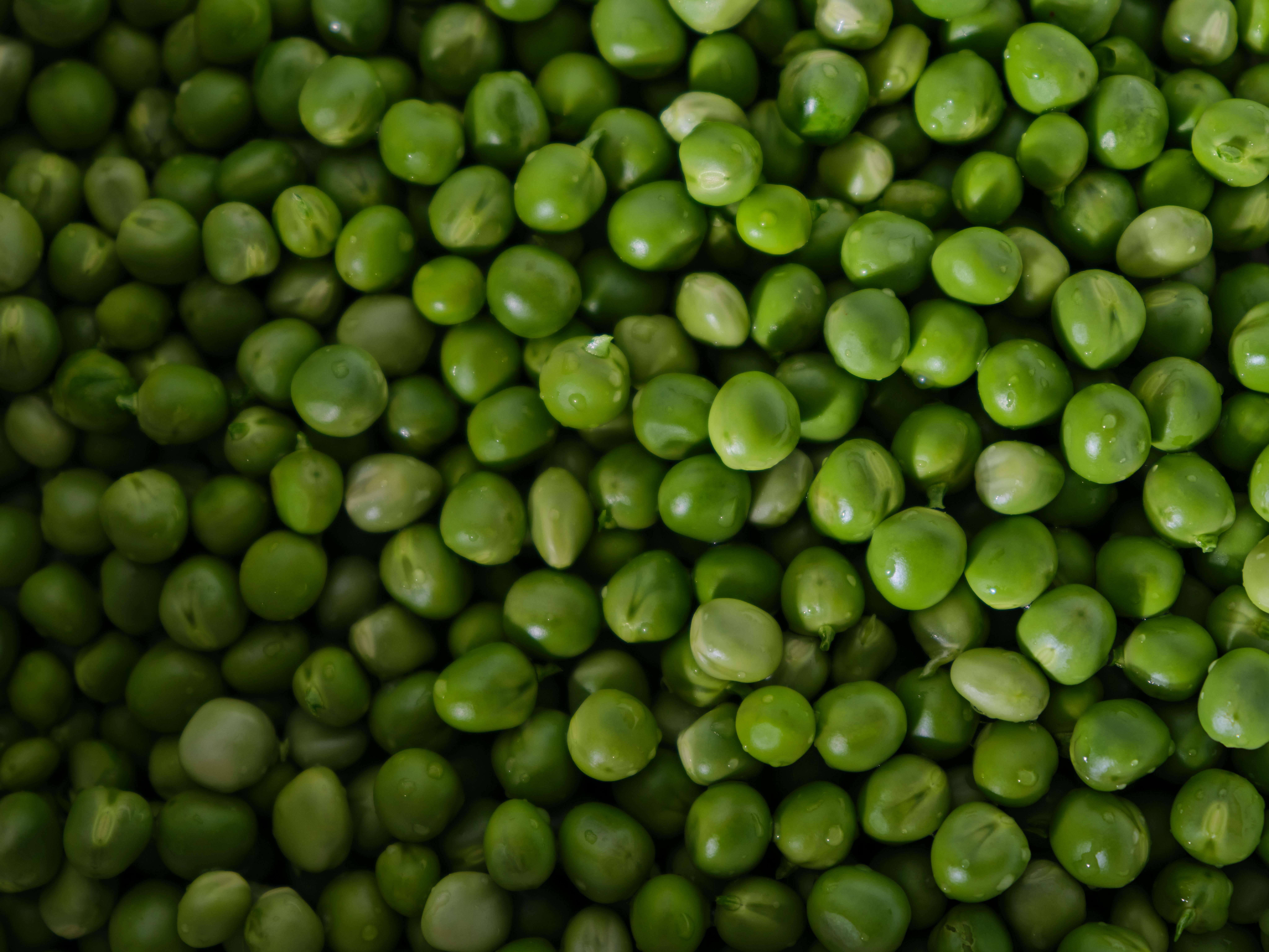 micronutrients gardening landscaping