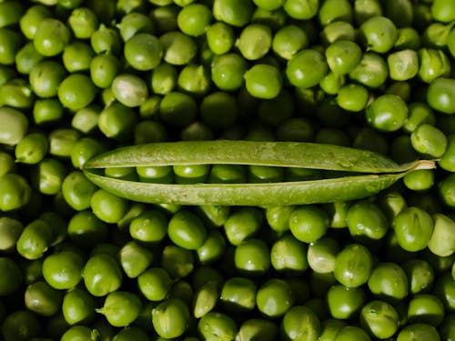 Free Green Peas  Stock Photo