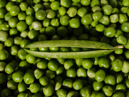 Green Peas 