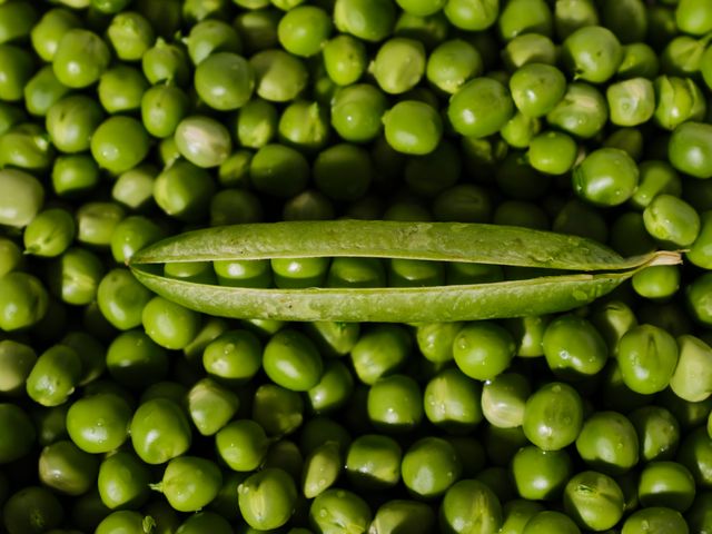 pea