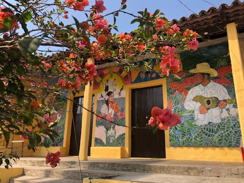 Blooming Tree Branch in front of Colorful Mural