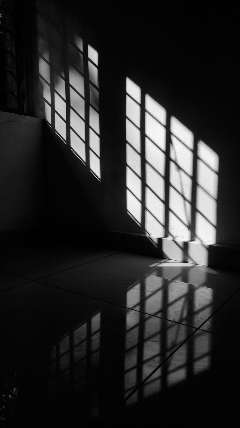 1,000,000+张最精彩的“Window Light”图片 · 100%免费下载 · Pexels素材图片