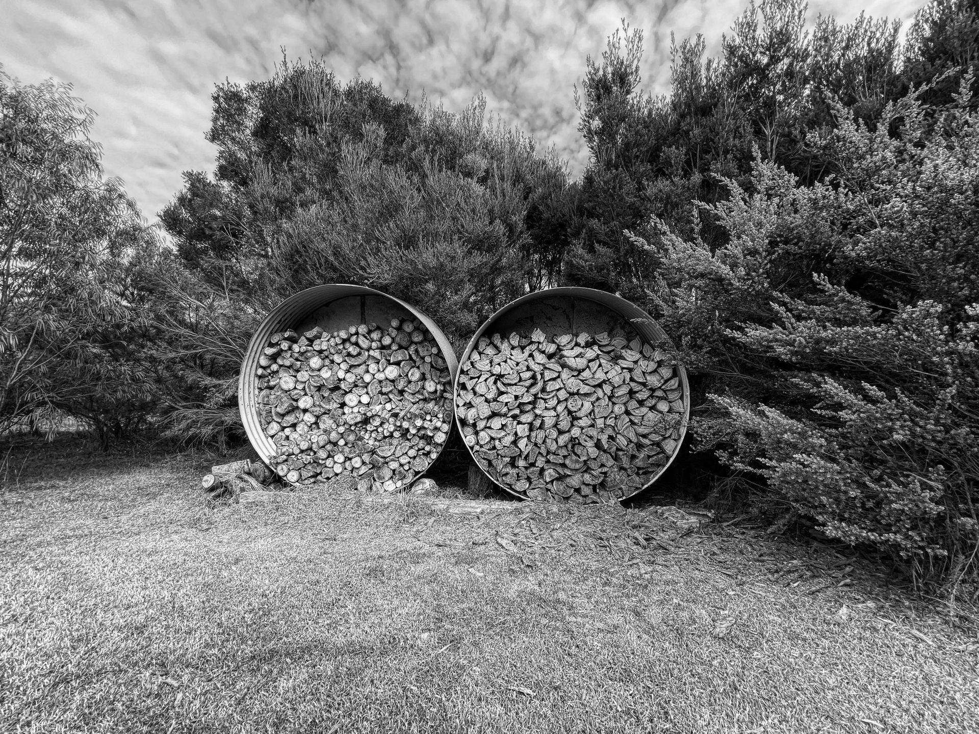 Stacked firewood stored in barrels, surrounded by lush trees in a black and white image.
