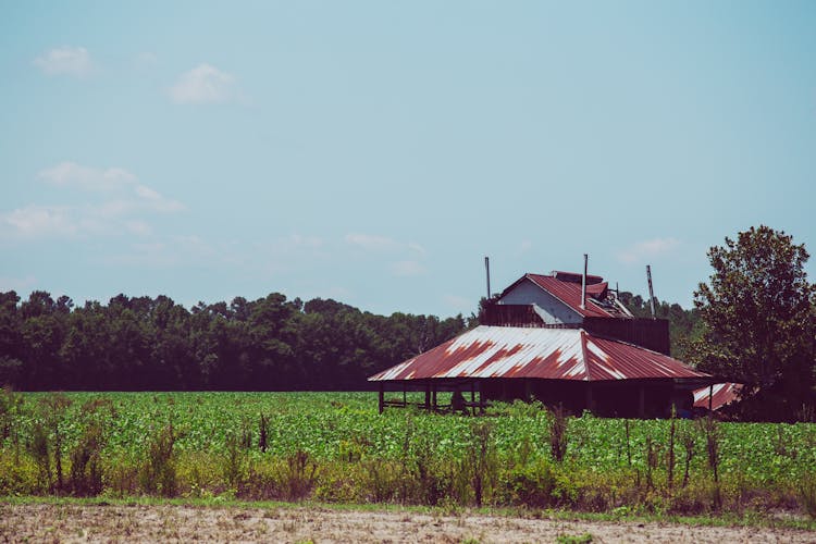 Hut On Farm Field