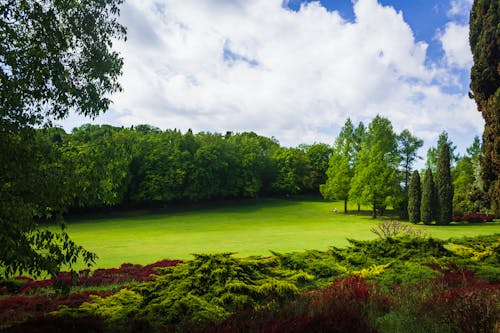 Photos gratuites de arbres verts, champ d'herbe, ciel nuageux