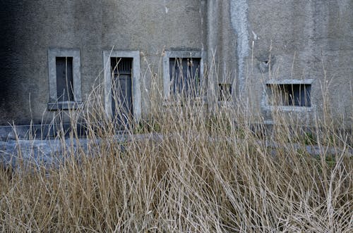 Bezpłatne Darmowe zdjęcie z galerii z beton, budynek, płomienie Zdjęcie z galerii
