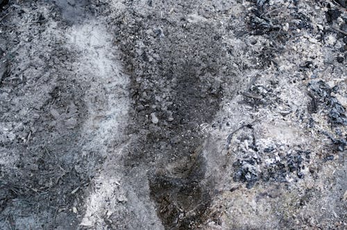 Bezpłatne Darmowe zdjęcie z galerii z 4k tło, drewno, ogień Zdjęcie z galerii