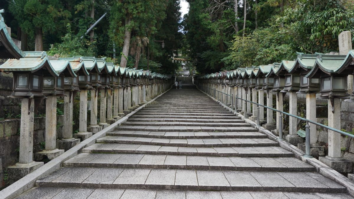 霧のかかった山の森