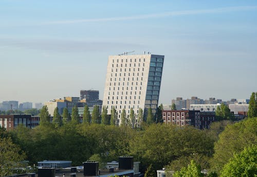 Fotos de stock gratuitas de arboles, arquitectura moderna, ciudad