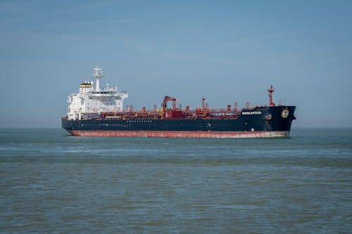 Free stock photo of boat, fern, freighter